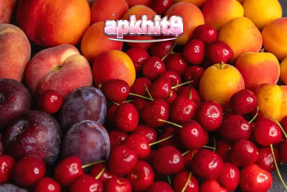Tampilan visual berbagai slot buah dan mekanik modern dari koleksi Amusnet